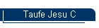 Taufe Jesu C